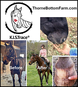 K.I.S. Trace by Thorne Bottom Farm  Horse Health Supplement