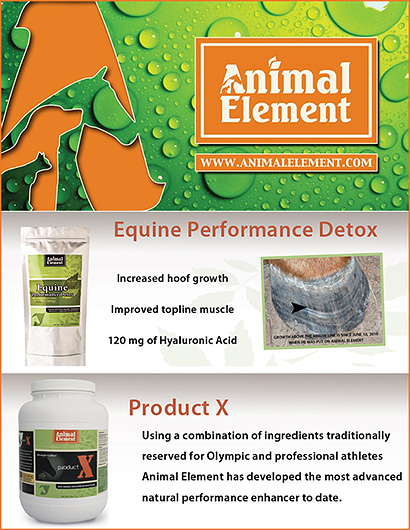 Animal Element Detox Loading Dose detoxification products for horses Animal Element Detox Loading Dose detoxification products for horses