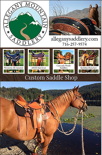 Alllegany Mountain Saddlery