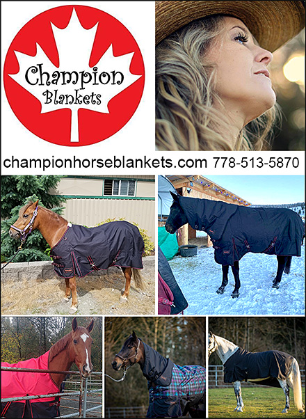 Champion Horse Blankets