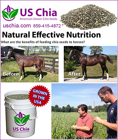 US Chia Seeds for Horses!