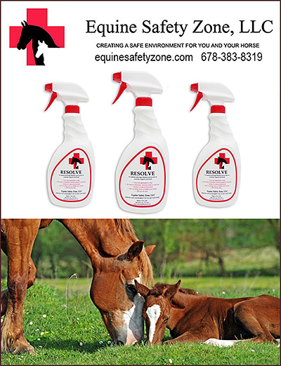 Rain Rot Remedies for Horses