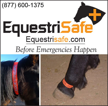 Horse Identification Products by EquestriSafe!