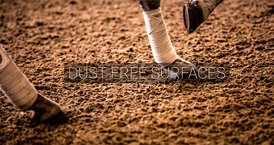 Dust Free Horse Areans Surfaces
