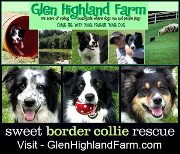 Glen Highland Farm