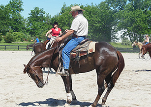 VA Certified Horse Trainer Program