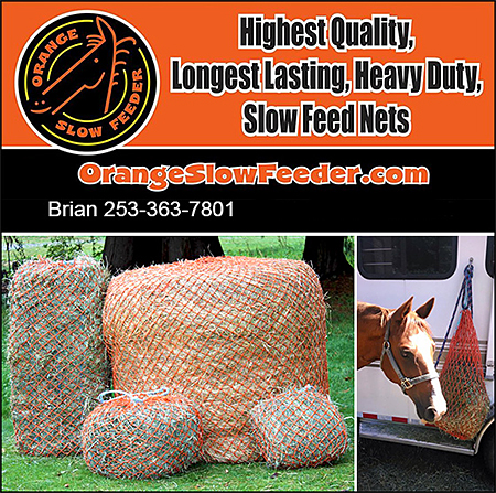 Slow Feeder for Horses by Orange Slow Feeder