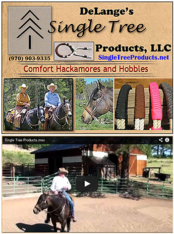 Hackamores for Horses