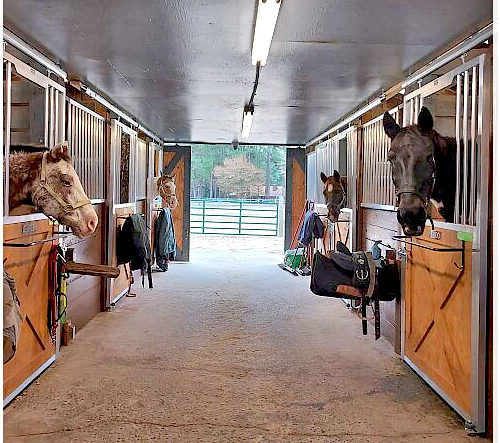 Horse Stalls Ventilation and Light