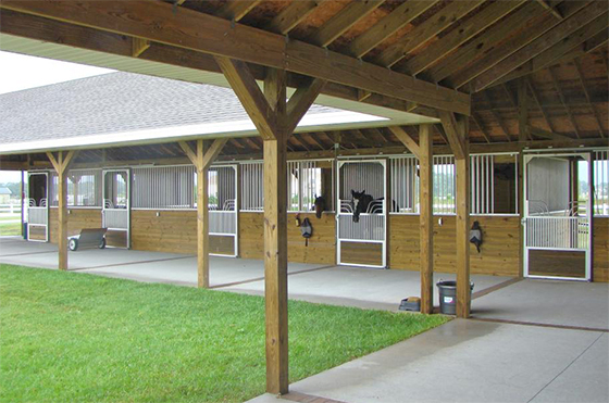 Choosing the Right Horse Stall