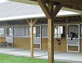 Selecting Horse Stalls