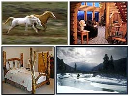 Horse Art and Western Lifestyle Furniture