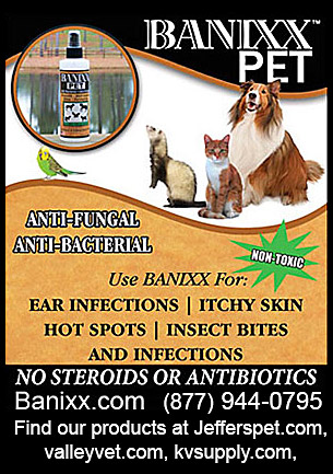 antifungal shoo for dogs ear products antifungal shoo for dogs ear products