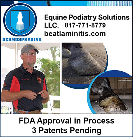 Beat Horse Laminitis Equine Podiatry Solutions