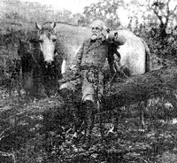 Wartime photograph of General Lee with Traveler.