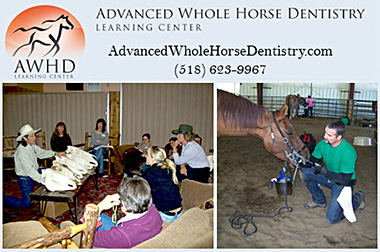 Advanced Whole Horse Dentistry