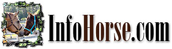 Home- InfoHorse.com Logo Dream and Sugar