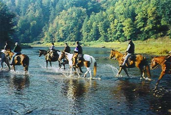 Crossing the creek.