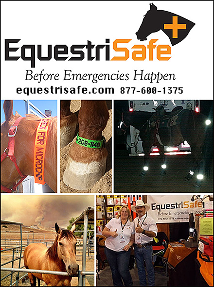 Equestrisafe Horse Identification and Safety Products