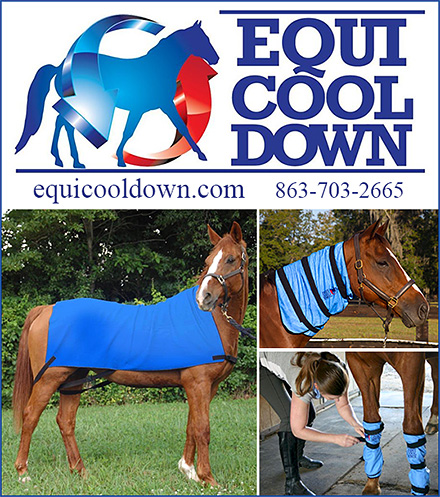 Cooling Sheets for Horses
