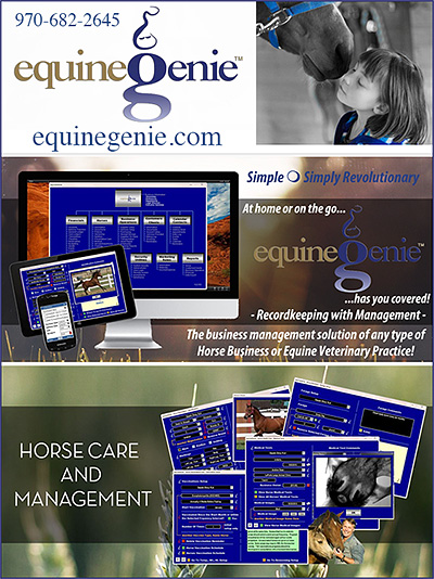 equineGenie Horse Business Software