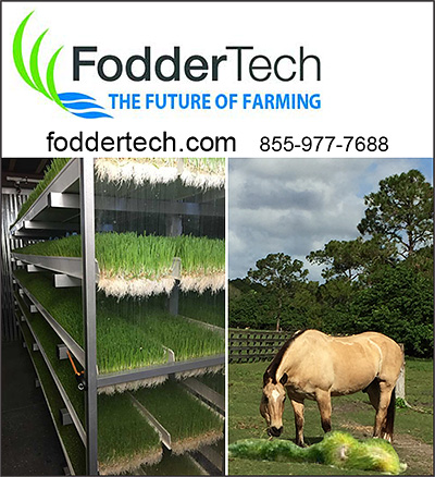 FodderTech Fodder for Horses