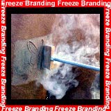 Freeze Branding