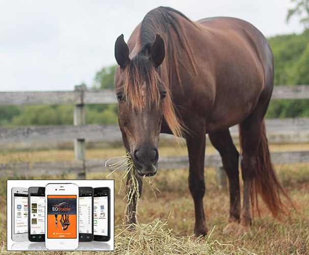Horse Apps for Horse Owners