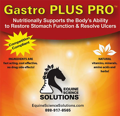 Gastro Plus Pro for Horse Ulcers