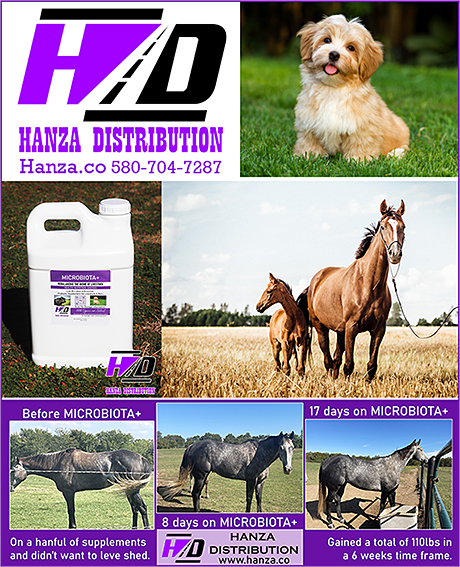 Horse Ulcer Health Supplement by Hanza Distribution