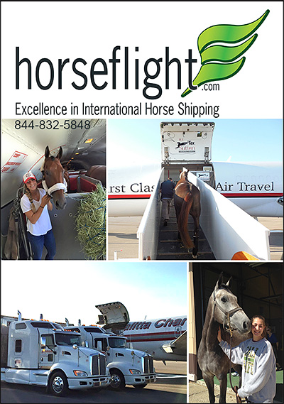 horseflight.com Excellence in Horse Transportation!