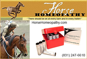 Horse Homeopathy
