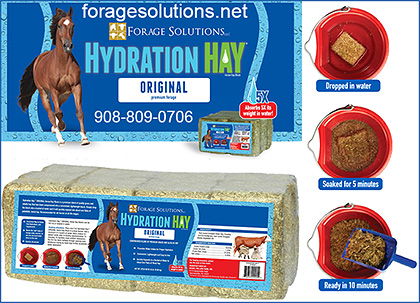Hydration Hay for Horses