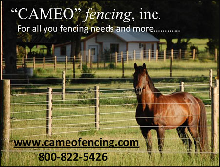 Show Equine Professional Company