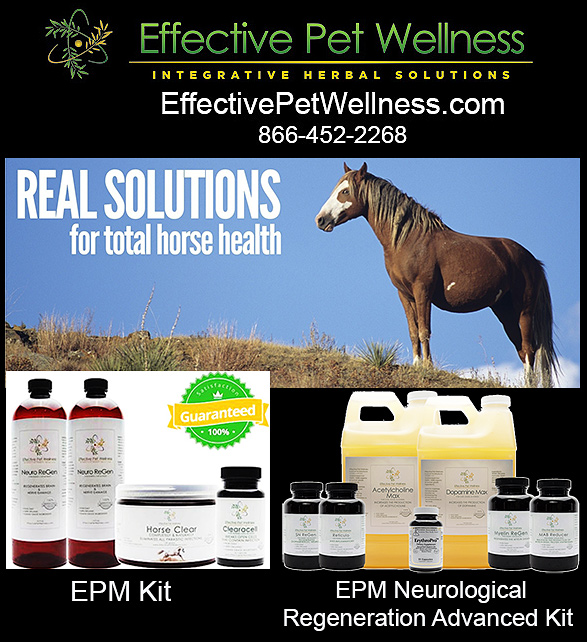 what is epm in horses