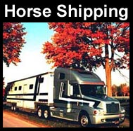 Horse Shipping