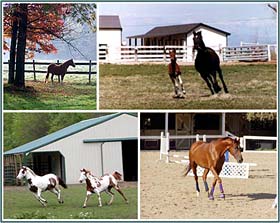Horse Facility Leasing Page