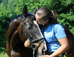 A career with horses you will love.