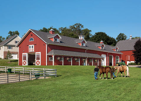 Horse Barns