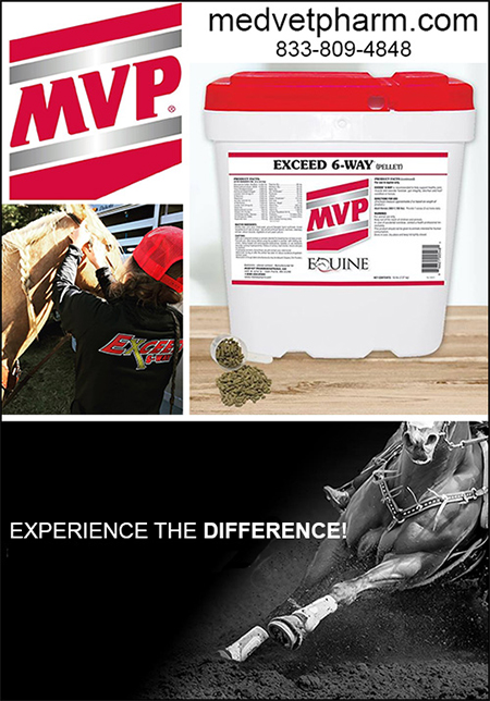 MVP Horse Health Supplements