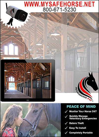 My Safe Horse Security Camera for Horse Barns
