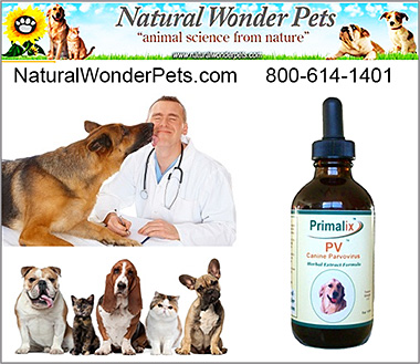 Natural Wonder Pets Dog Health Products