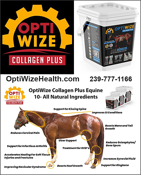OptiWize Collegen Plus Horse Health Products