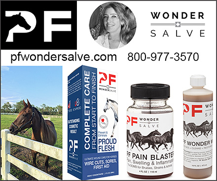 Horse Wound Products by PF Wonder Salve