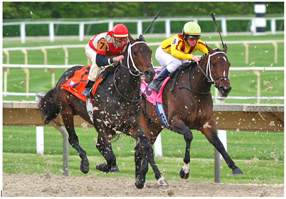 Horse racing betting is one of the oldest forms of betting in   world history.