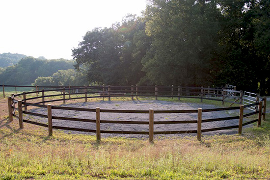 Flex fence horse round pen.