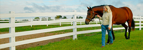 Ramm Fence for all Horse Property Fencing Ramm Fence for all Horse Property Fencing