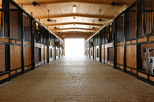 Get Organized! Tips for Keeping the Barn and Tack Room Tidy