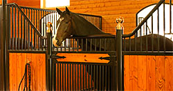 Horse Stalls from Ramm Fencing and Stalls