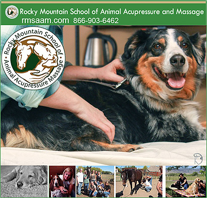 Rocky Mountain School of Dog Accupressure  and Canine Massage!